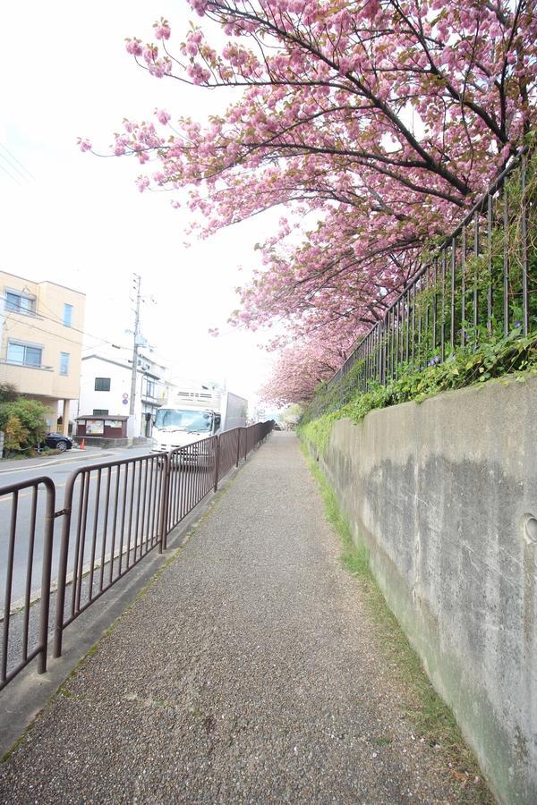 Kiyomori No Baika Hotel Kyoto Exterior foto